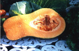 calabaza.jpg